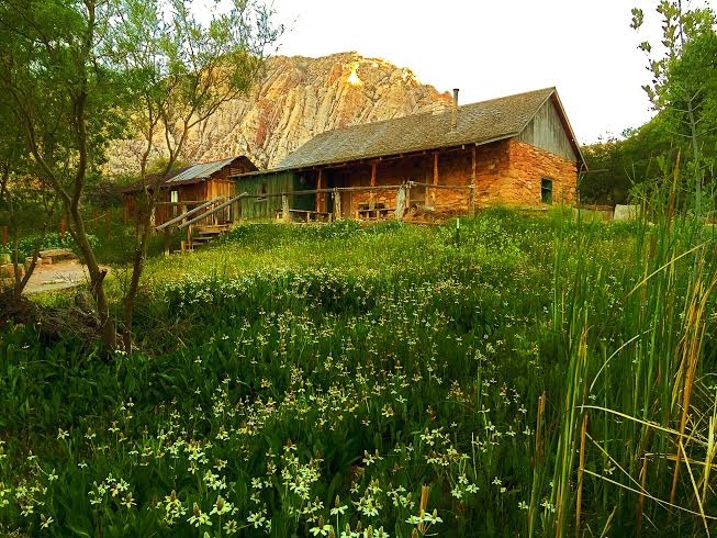 cabin at spring mountain ranch